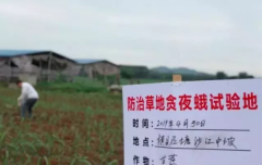 澳门金沙网站 距离江苏最近的入侵点直线距离已不到200公里