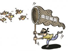 澳门金沙网站 非法狩猎者:一月捕杀野生鸟类2.4万余只 江苏省连云港市